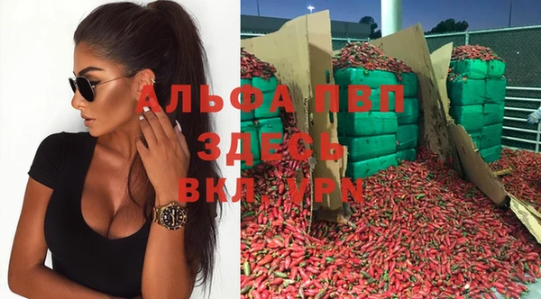 индика Абинск