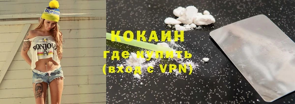 индика Абинск