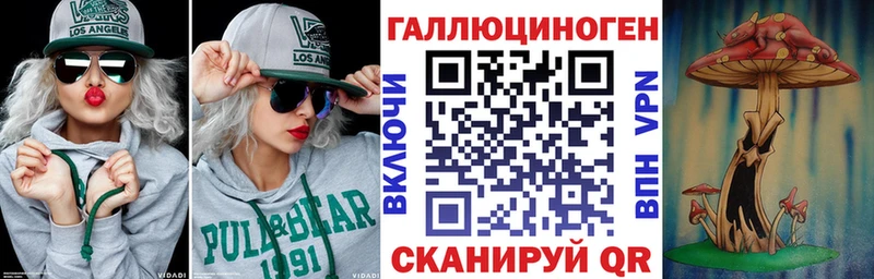 Псилоцибиновые грибы Cubensis  Трубчевск 